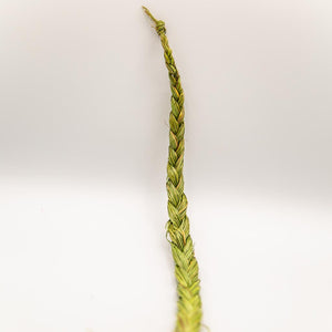 Sweetgrass (Nakiwacihk)